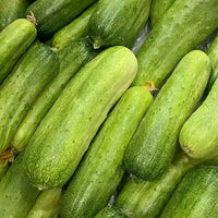 Cucumber Seeds