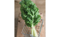Fordhook Giant – Swiss Chard Seed