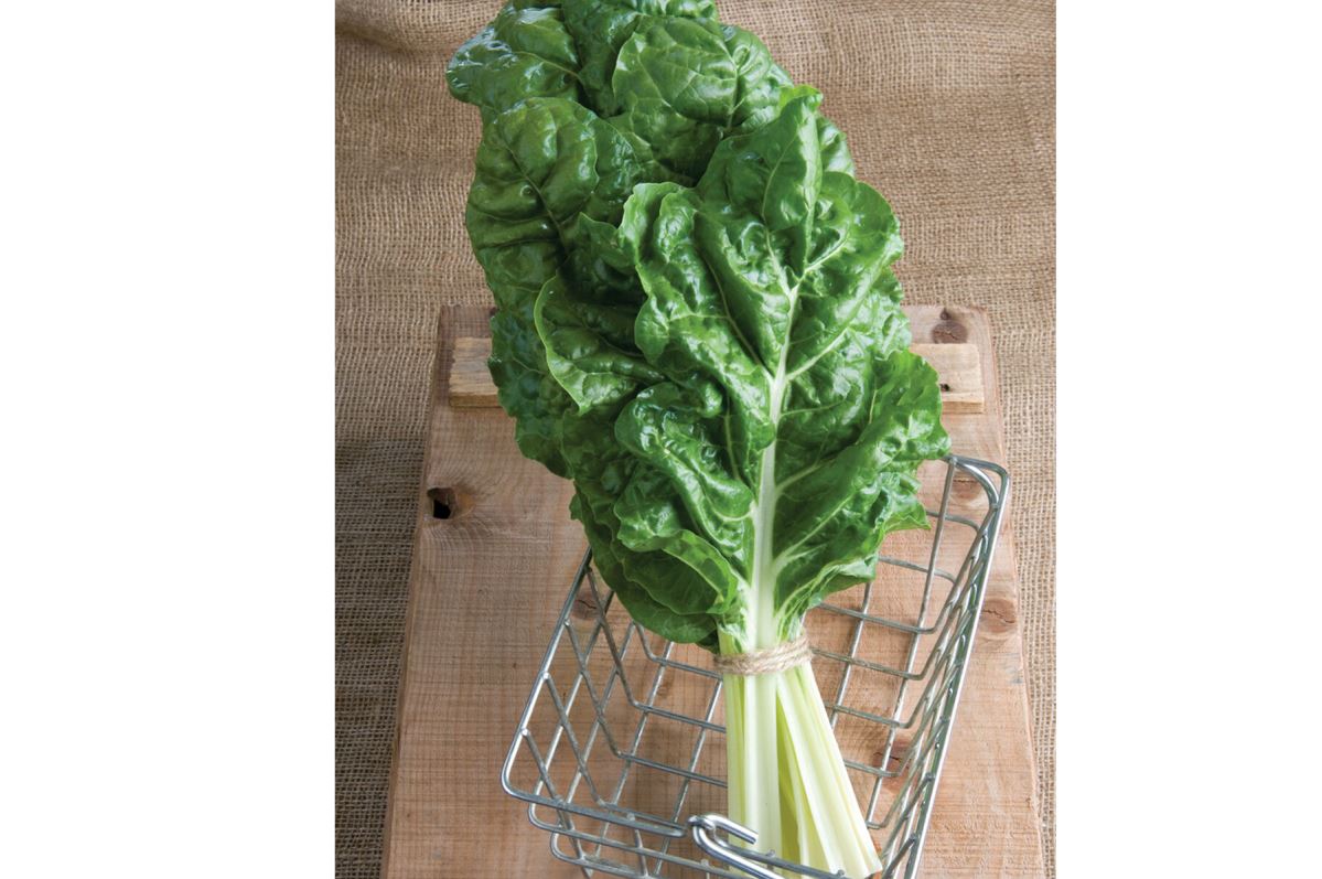 Fordhook Giant – Swiss Chard Seed