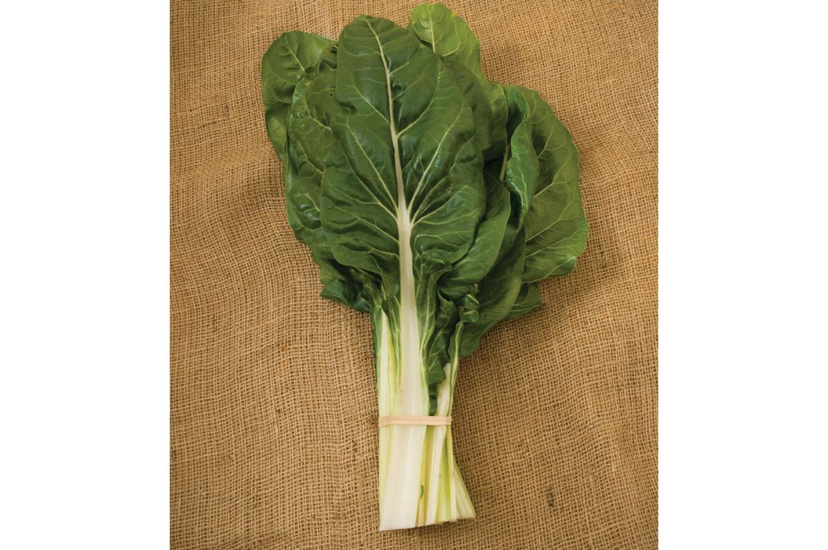 Fordhook Giant – Organic Swiss Chard Seed