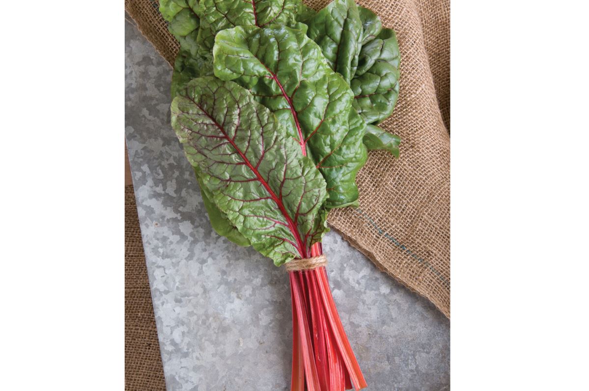 Ruby Red or Rhubarb Chard – Organic Seed