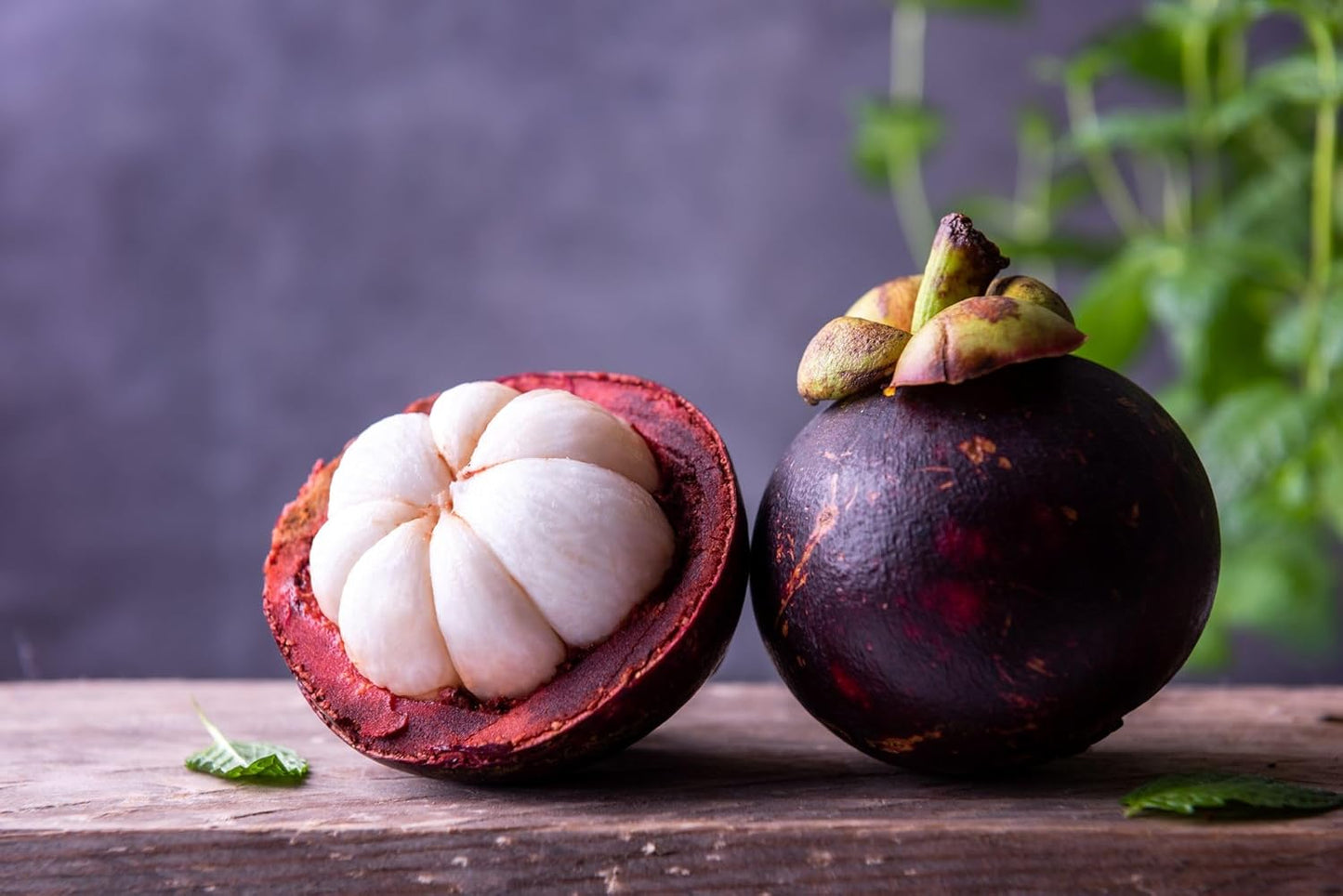 Mangosteen Fruit Seeds