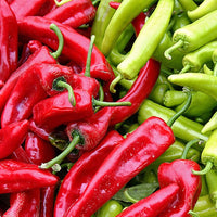 Anaheim (Chili Pepper) for planting in garden