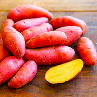 French Fingerling – Seed Potatoes