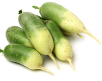 Green Luobo Improved – Radish Seed