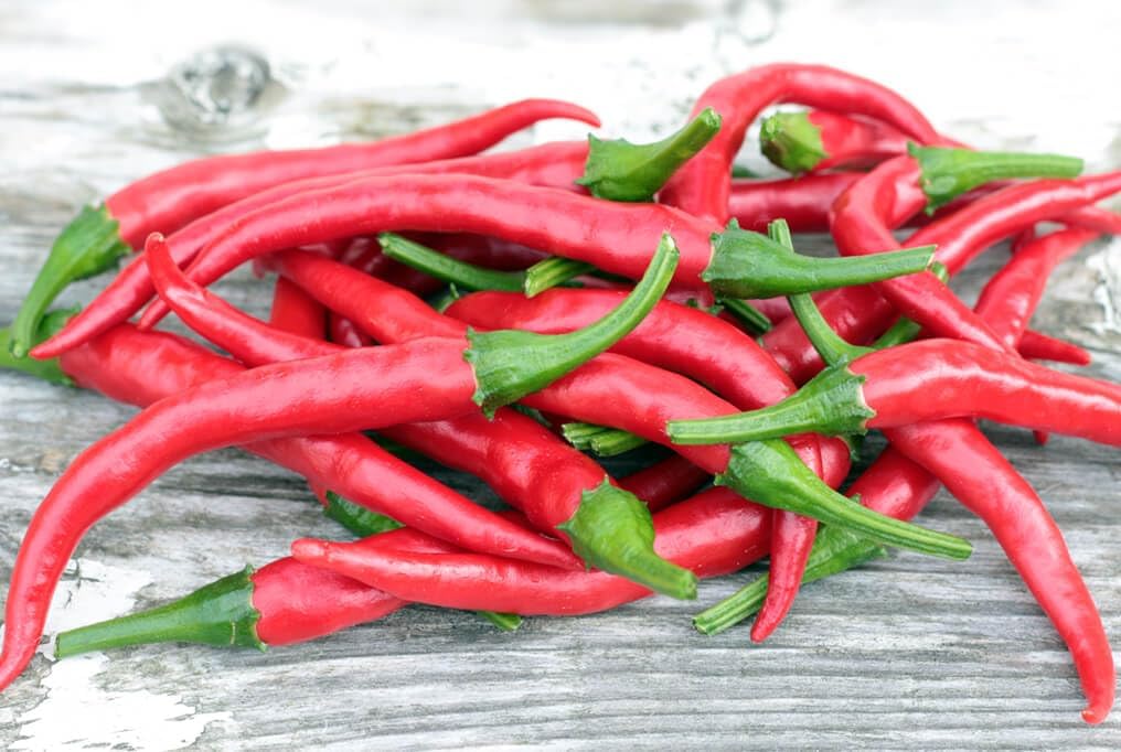 Ree Chilies and Peppers Vegetable Seeds for Planting - 100 pcs