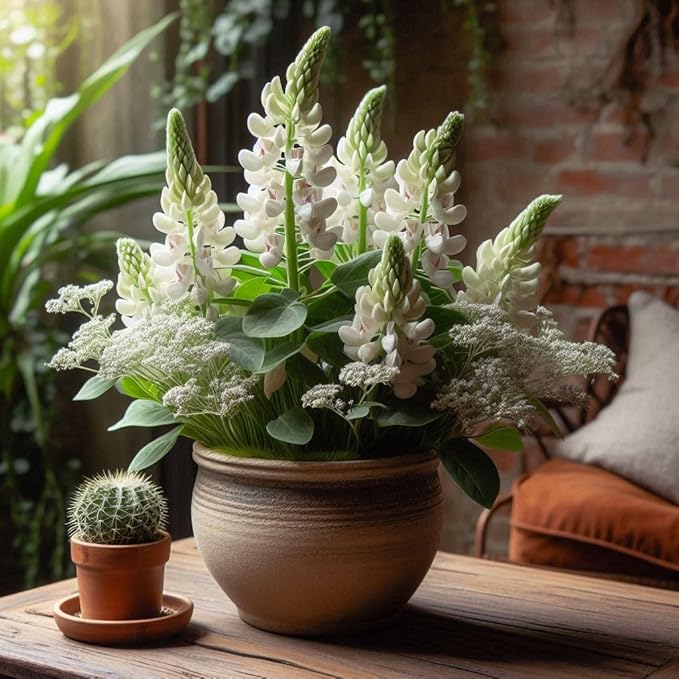 Heirloom Non-GMO White Bonnet Flower Seeds for Planting – Elegant Blooms for Garden Borders