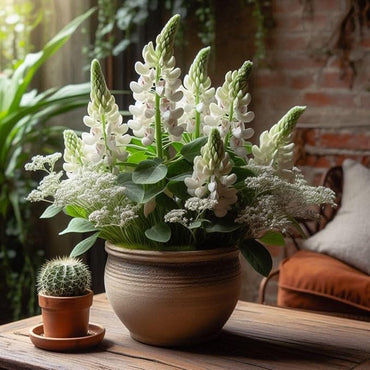 Heirloom Non-GMO White Bonnet Flower Seeds for Planting – Elegant Blooms for Garden Borders