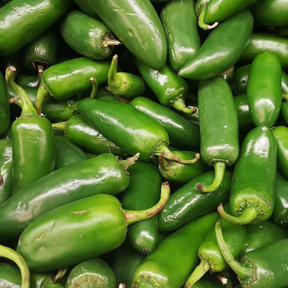 Jalapeno (pepper Capsicum annuum organic) for planting in garden