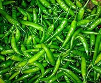 Green Chili Seeds for Planting - heirloom & Non-GMO Seeds