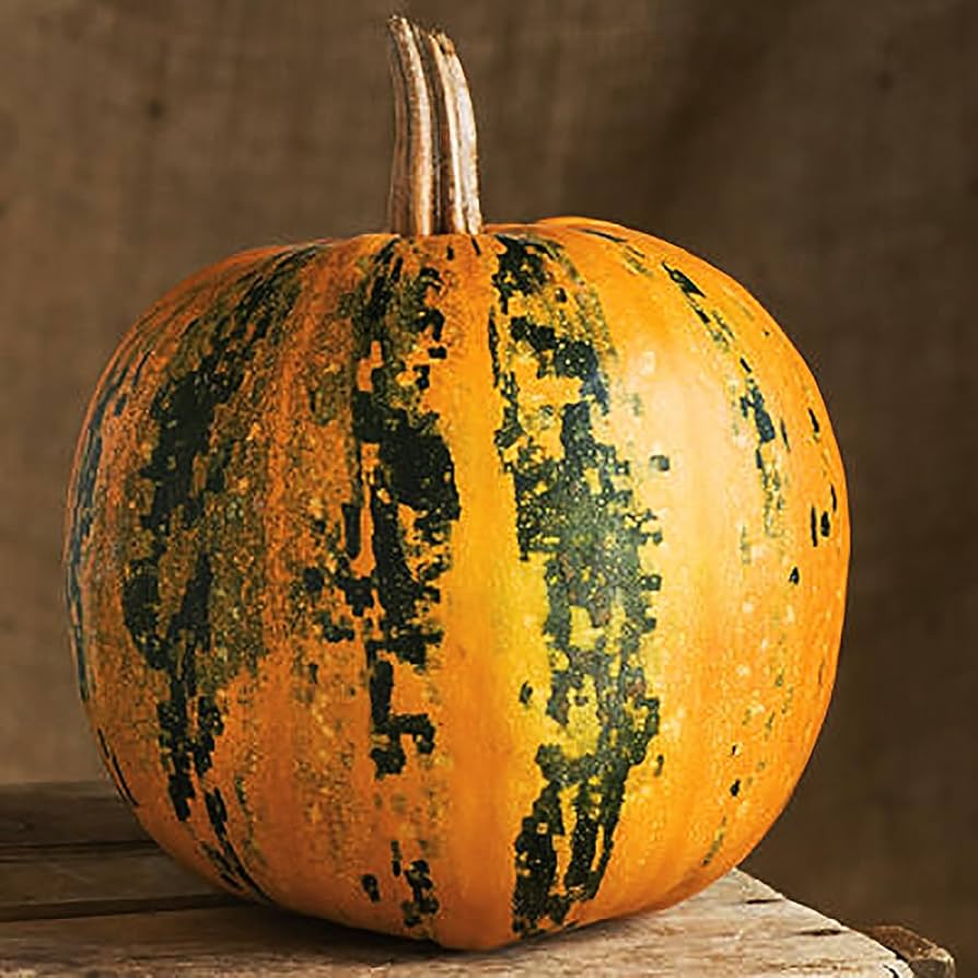 Kakai – Organic Pumpkin Seed