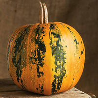 Kakai – Organic Pumpkin Seed