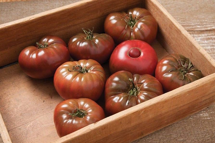 Marnero – Tomato Seed