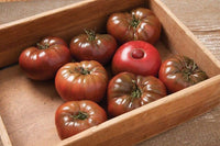 Marnero – Tomato Seed