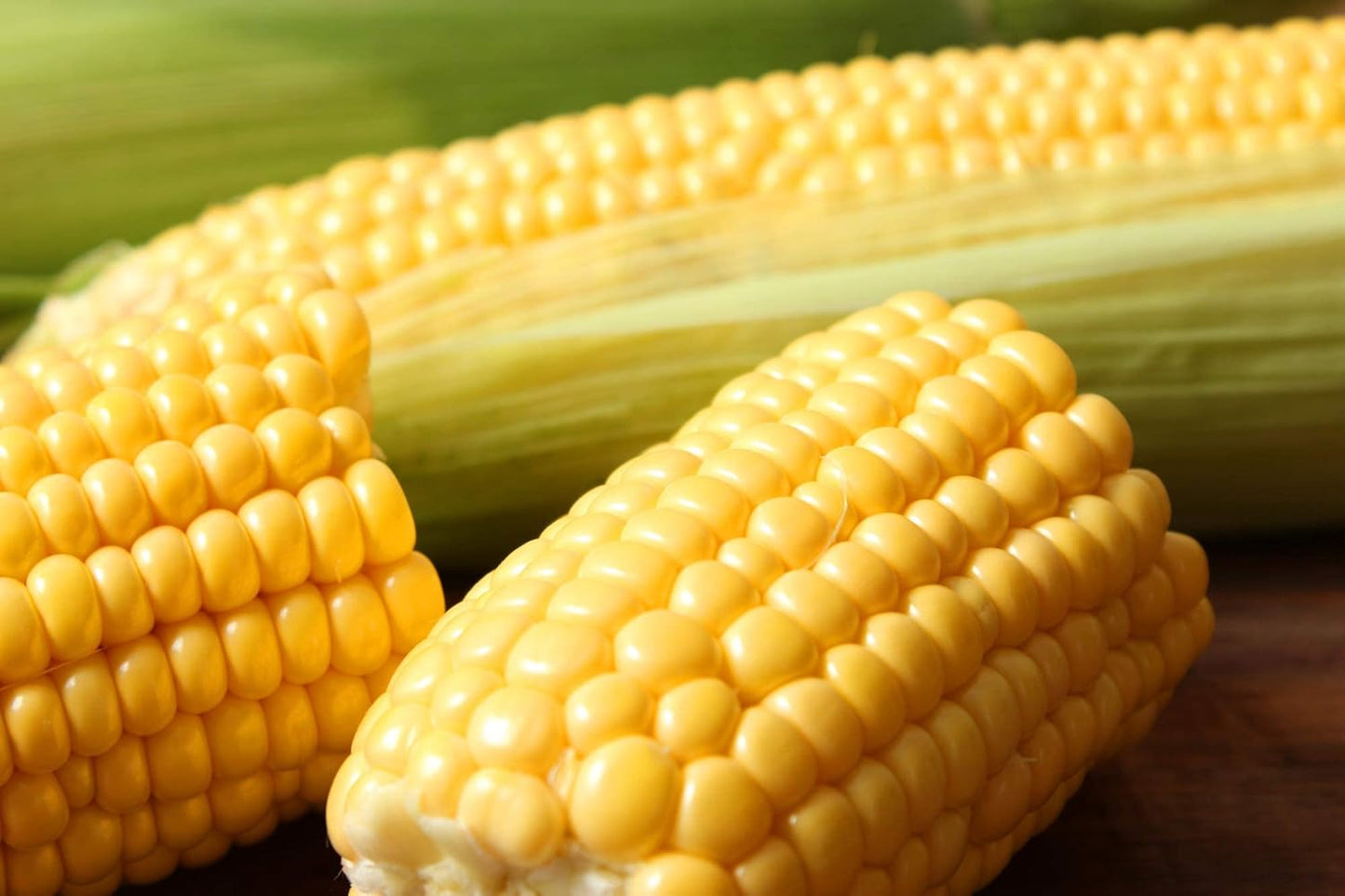 Sugar Buns – Corn Seed