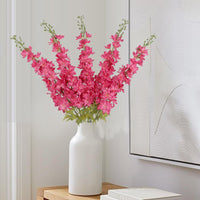 Pink Punch Delphinium Flower - for planting in home garden