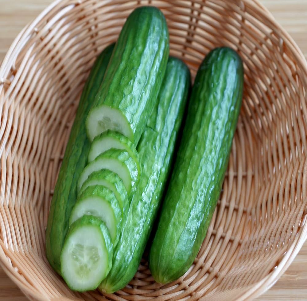 Burpless Cucumber #26 vegetable seeds for easy-to-digest crisp harvests