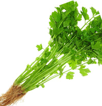 Cutting Celery – Microgreen Seed