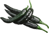 Pasilla Bajio hot pepper seeds (Capsicum annuum) for mild smoky chili flavor