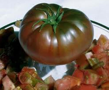 Black prince tomato Solanum lycopersicum seeds for planting in kitchen garden or vertical vegetable beds