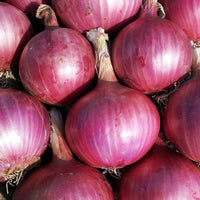 Onion Vegetable Seeds