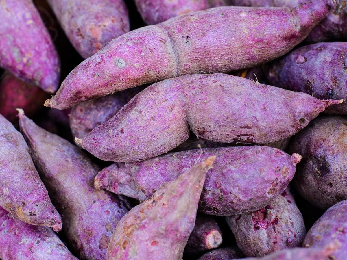 Molokai Purple Sweet Potato Heirloom & Non-GMO Seeds for planting