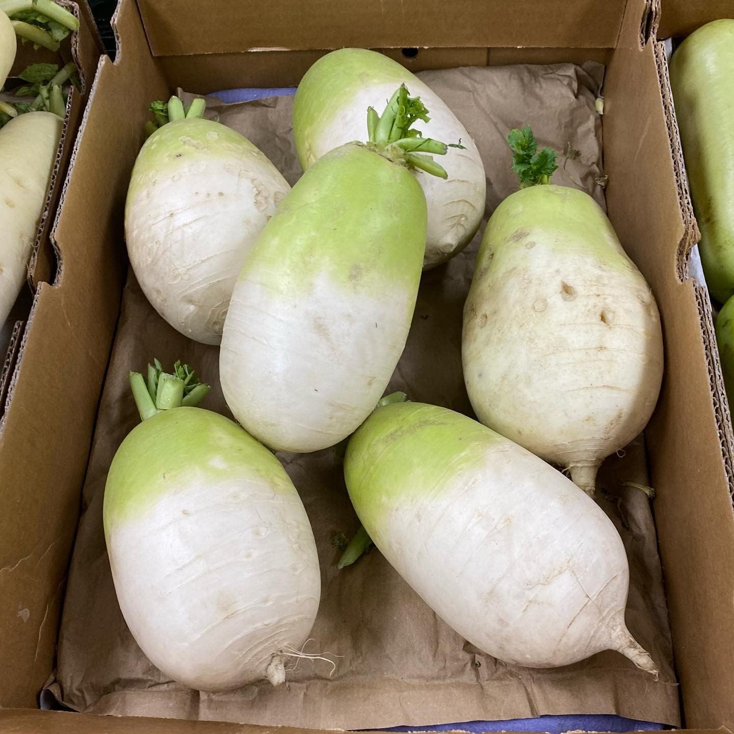 Summit – Radish Seed