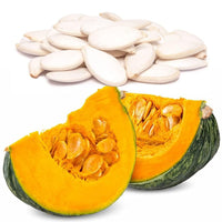 Pumpkin (plant Cucurbita pepo dipper long handle) for planting in garden