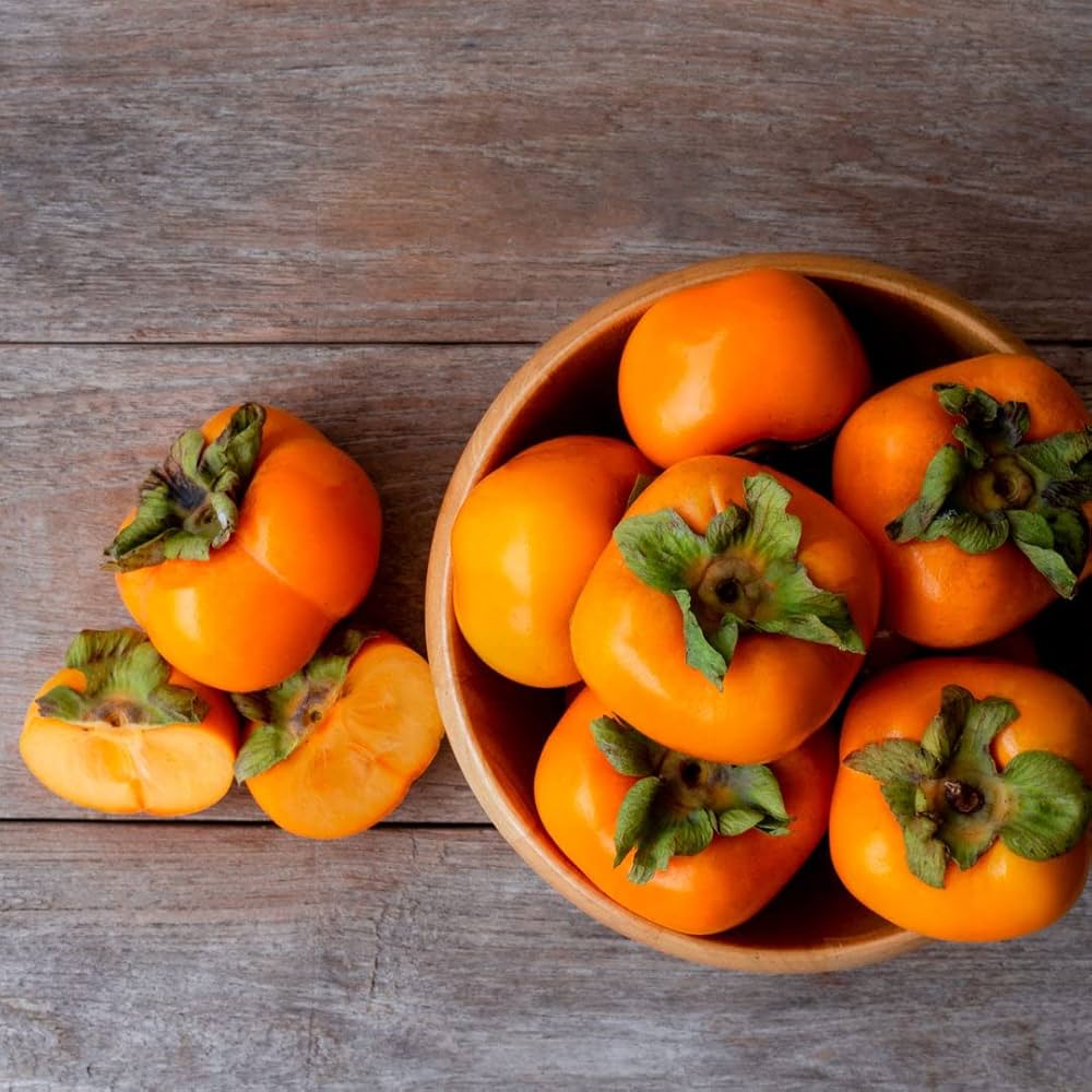 Persimmon tomato plant grown from organic and conventional seeds with large orange fruits and sweet flesh