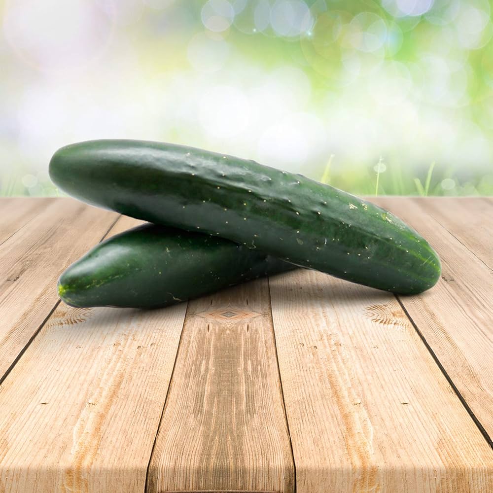 Burpless (Cucumber #26 vegetable) for planting in garden