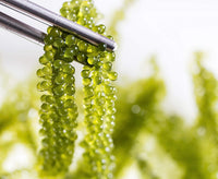 Seagrapes Fruit Seeds for a Unique, Coastal Garden Experience 100 pcs