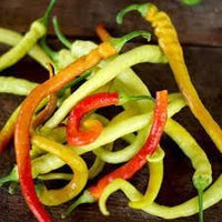 Corbaci Pepper Vegetable Seeds for Planting - 100 pcs