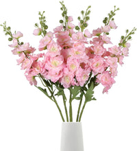 Pink Punch Delphinium Flower Seeds