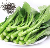 Chinese Broccoli- Jade