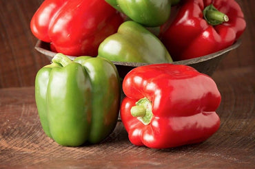 Sprinter – Bell Pepper Seed