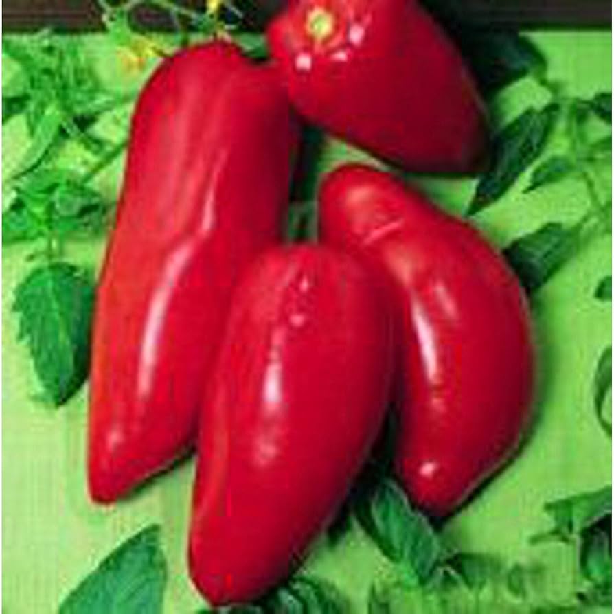 Red Opalka Seeds for Planting - 100 pcs