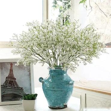 Gypsophila Rainbow Easy Grow Plant Seeds
