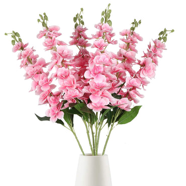 Pink Punch Delphinium Flower Seeds