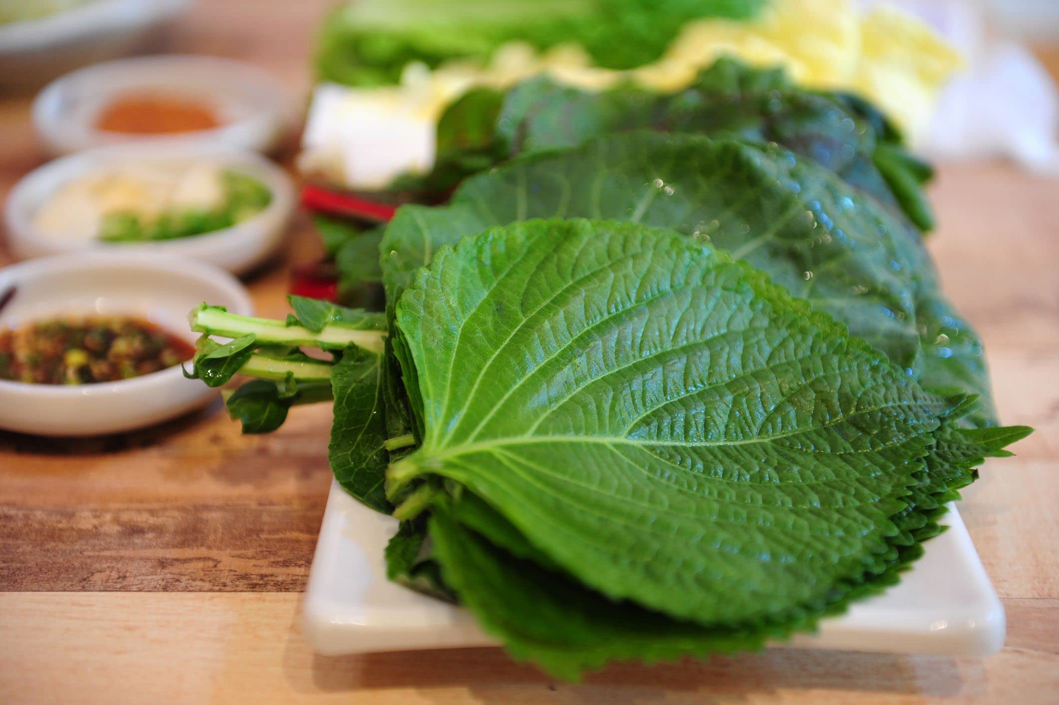 Korean - Shiso for planting in home garden