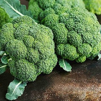 Broccoli Seeds for Planting - 100 pcs