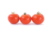 Oregon Spring – Organic Tomato Seed