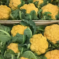 Hot Golden Cauliflower Seeds Healthy Vegetable Seeds