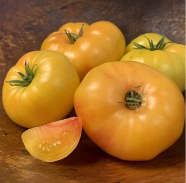 Margold – Tomato Seed
