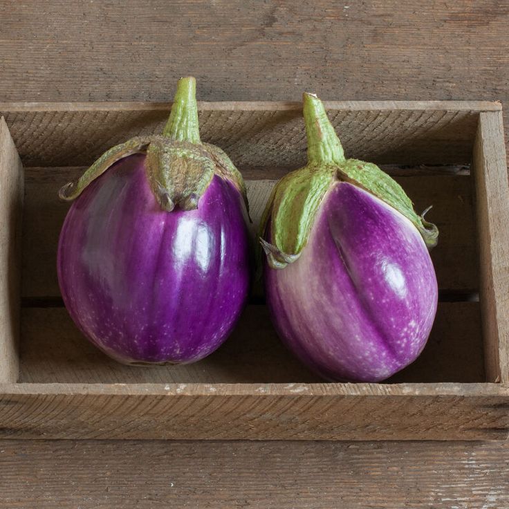Eggplant- Rosa Bianca
