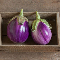 Eggplant- Rosa Bianca