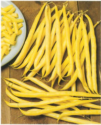 Rocdor – Organic Bean Seed