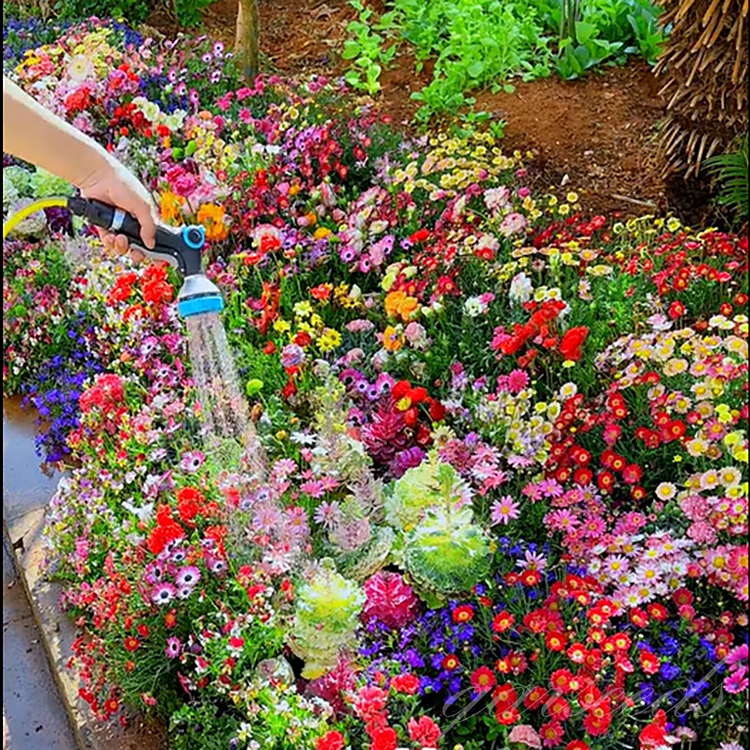 Sea of Flowers Mixed Seeds