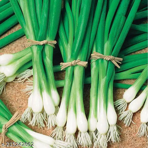 Leek Bunching Vegetable Seeds