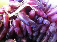 Heirloom Burgundy Grape Fruit Seeds for Planting – Burgundy Color,Ideal for Home Garden