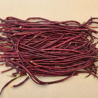 Red Noodle – Bean Seed